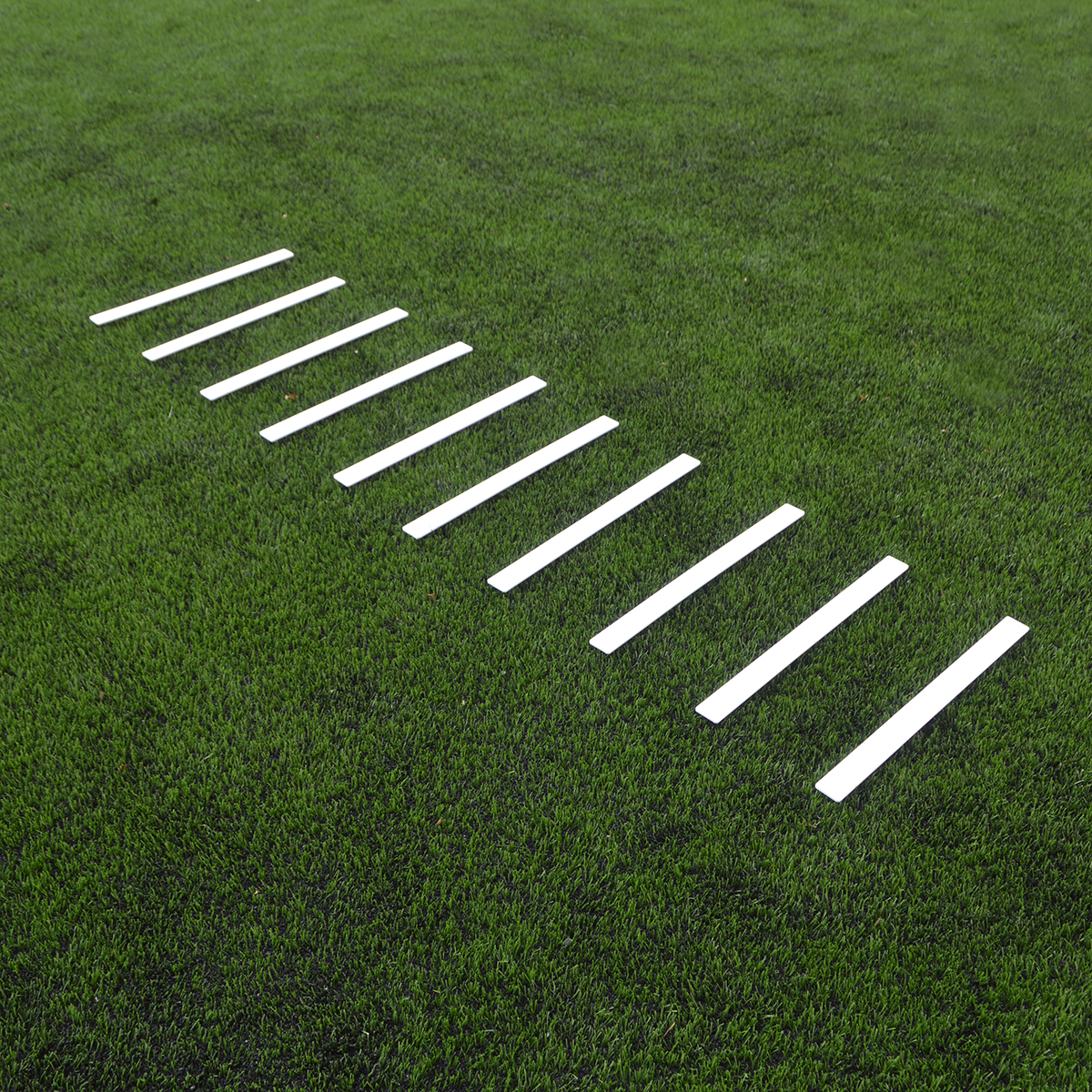 025008-a-0176_1.png