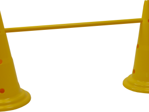 KIT I "Multisauts hauteur 50cm" (L'unité)