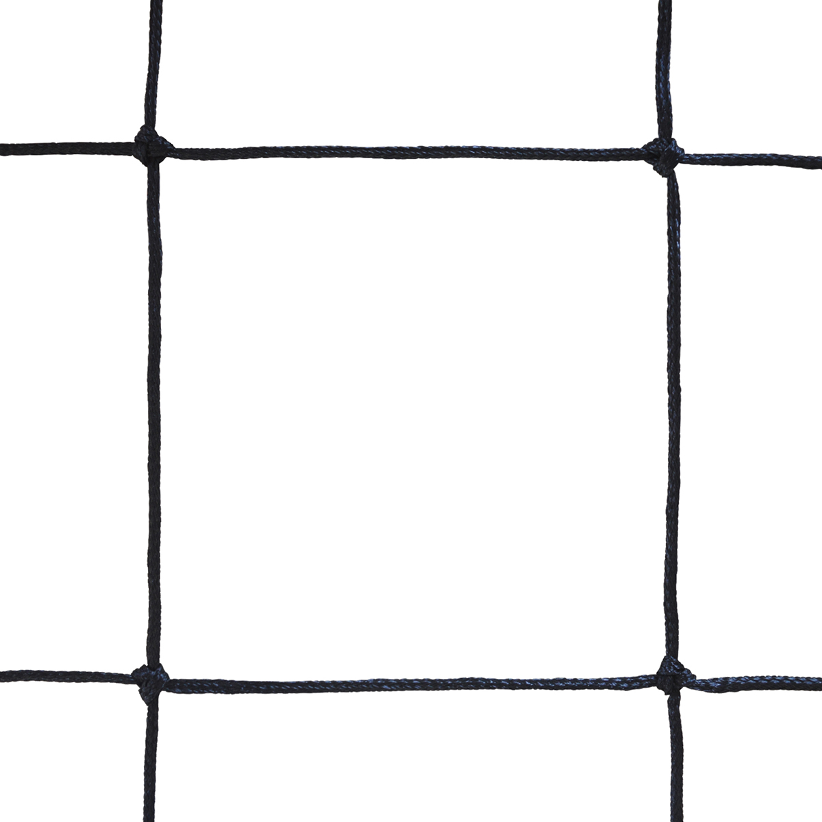065069U-a-1273_1.png