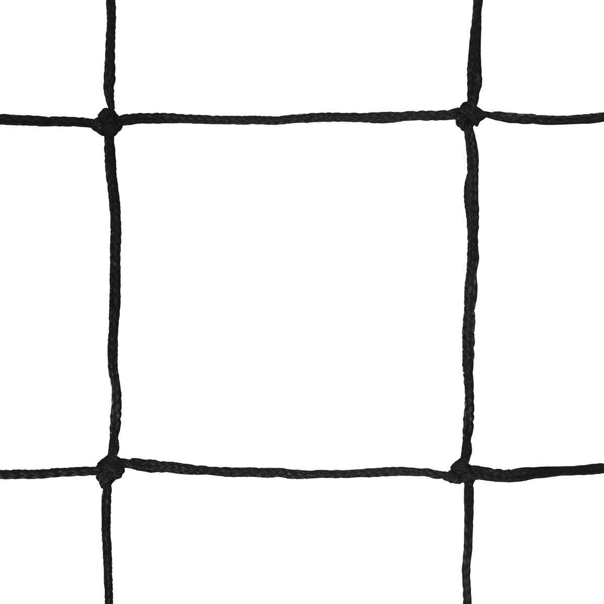 065104-a-1295_1.png