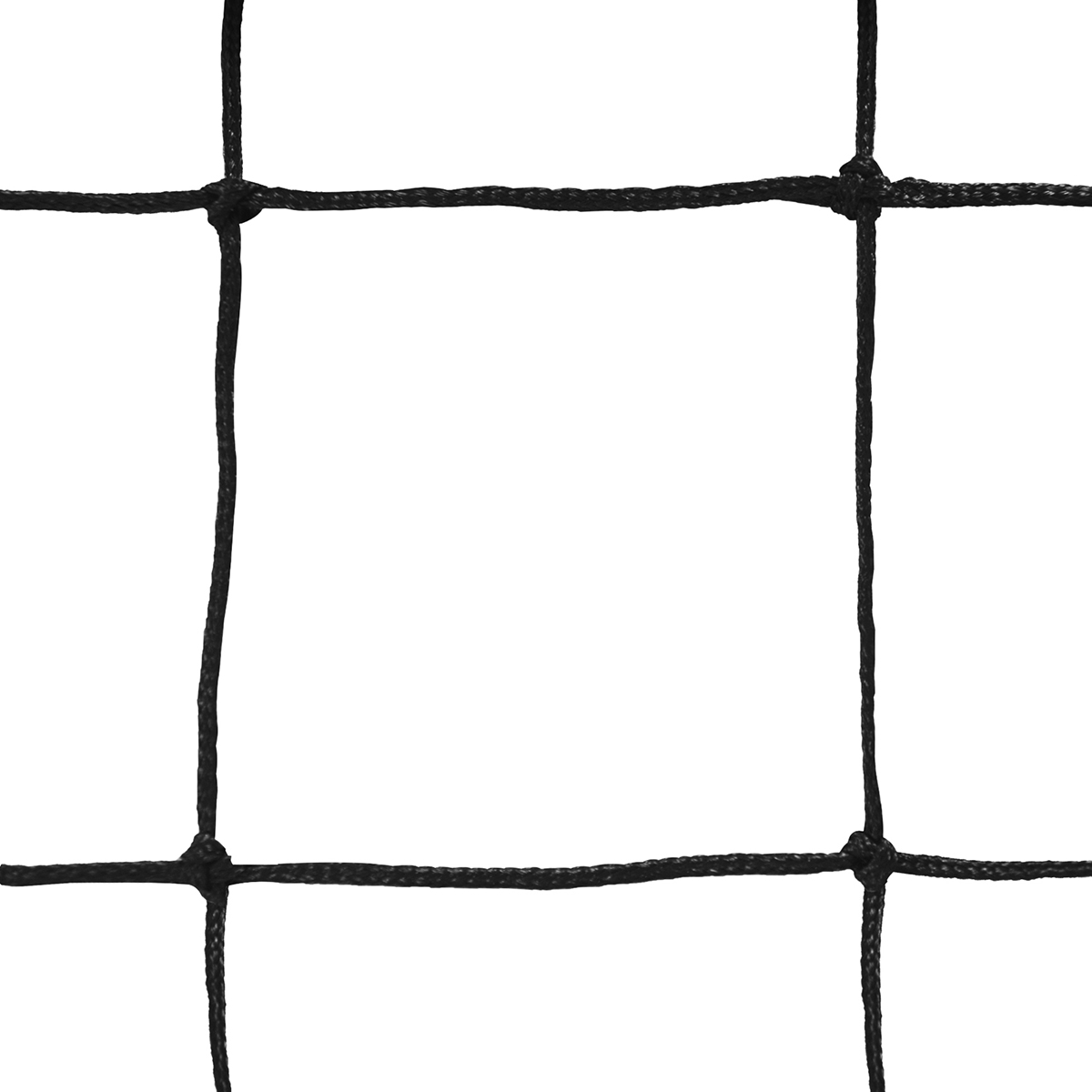 065109-a-1302_1.png