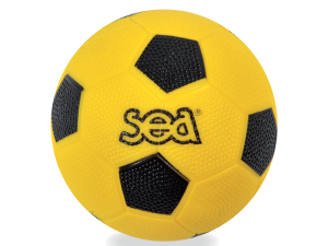 Ballon de hand Initiation