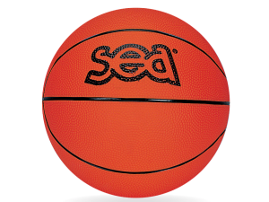 Ballon de basket Futur Champ