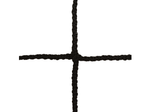 FILETS HANDBALL PP TRESSÉ 3MM SIMPLE MAILLE 100 (LA PAIRE) – Image 1