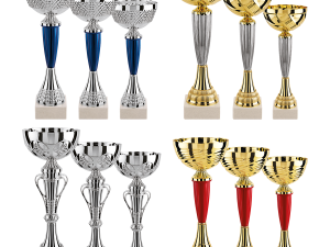Lot de 12 coupes N°1 – Image 1