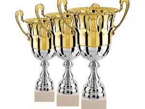 Lot de 3 coupes – Image 1
