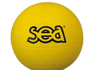 Ballon multisports